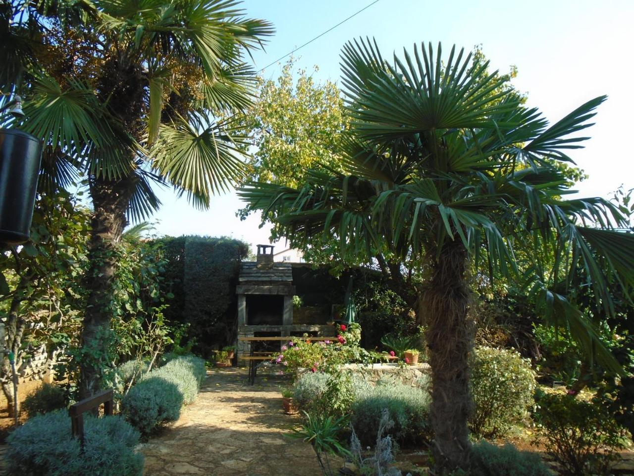 Villa Maria Novigrad (Istria) Exterior foto