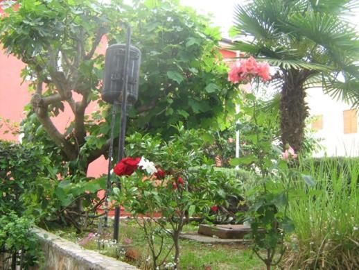 Villa Maria Novigrad (Istria) Exterior foto