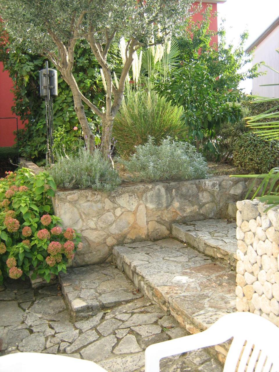 Villa Maria Novigrad (Istria) Exterior foto